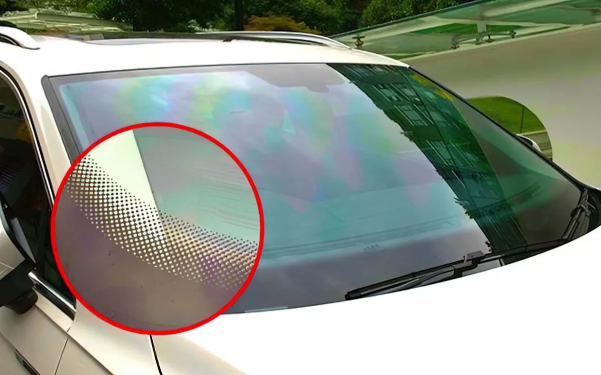 Het belang van kleine zwarte stipjes op de voorruit