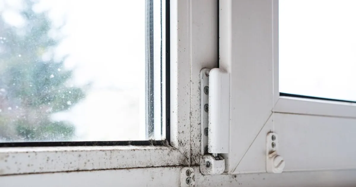 Efficiënte manieren om condensatie in de winter te bestrijden