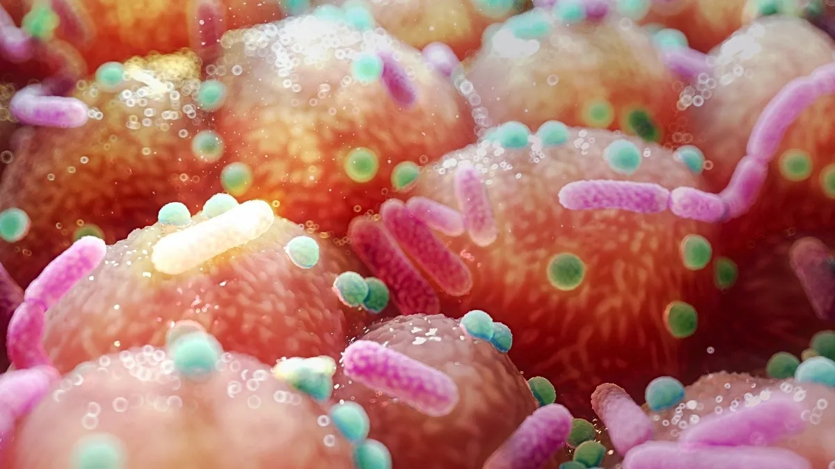 Nieuw onderzoek: darmmicroben en de ziekte van Parkinson