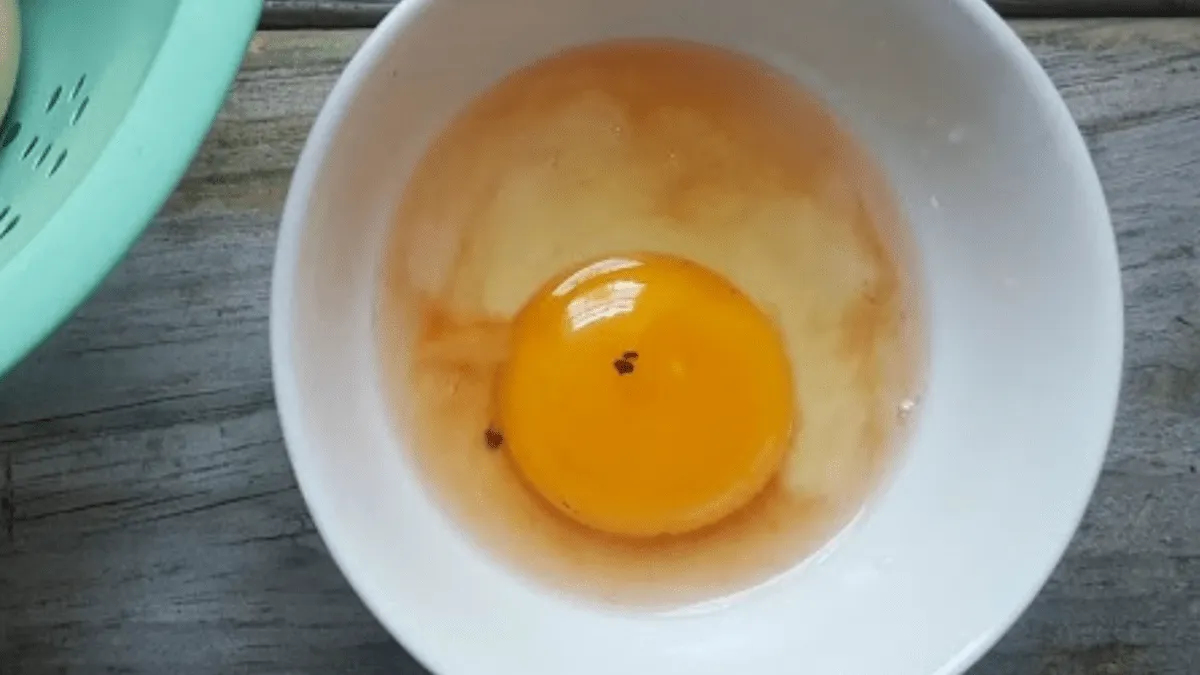 Het raadsel van die rode vlek in eieren: wat zegt het ons?